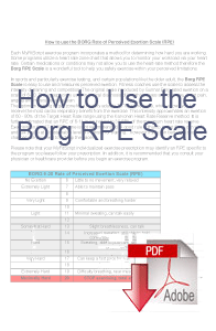 Borg Chart